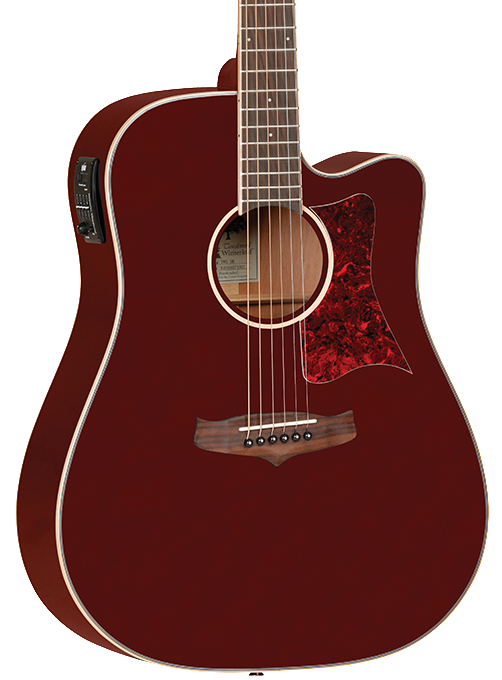 Tanglewood deals tw5 wb