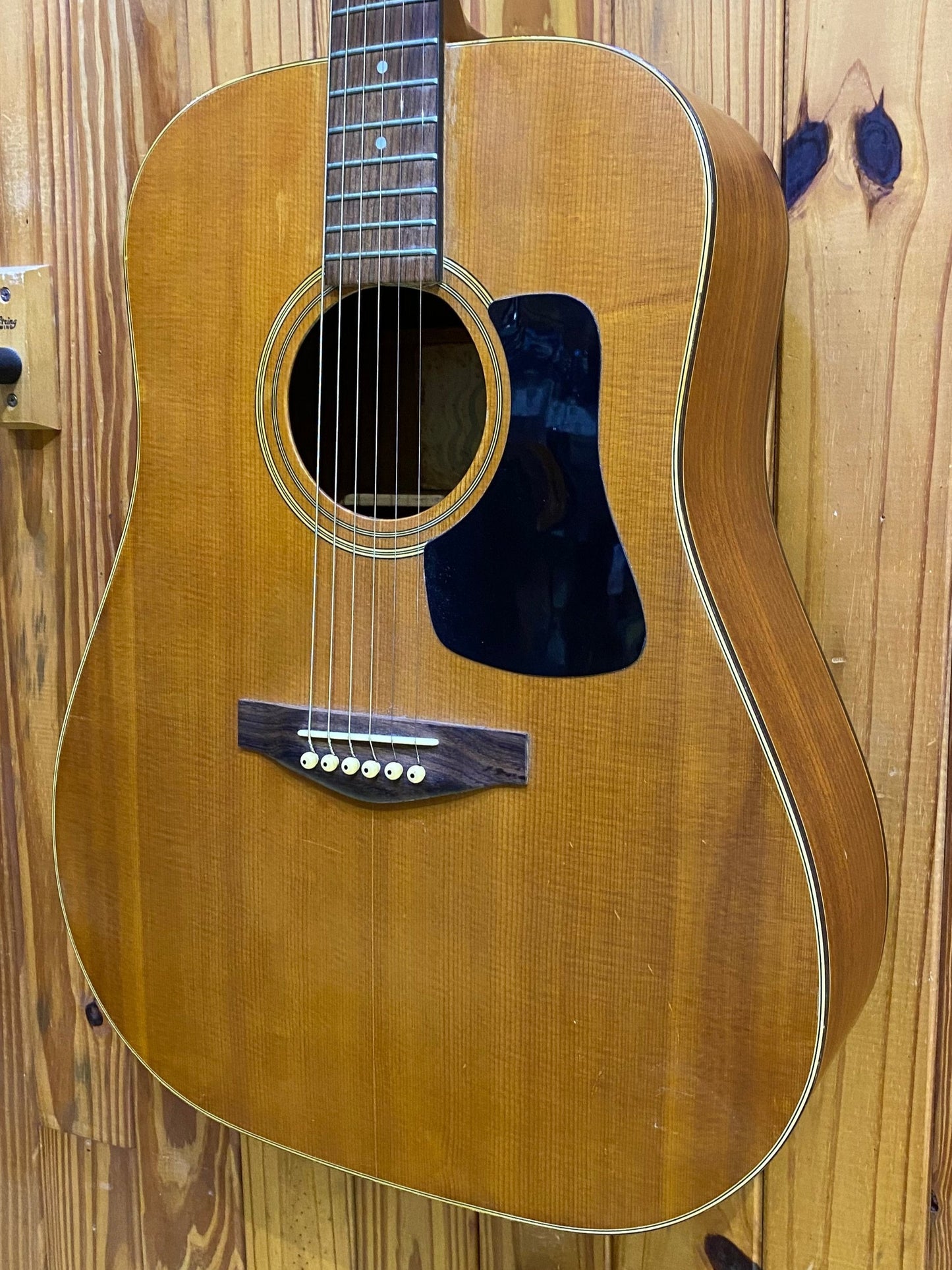 Marina Dreadnought Acoustic - Preloved