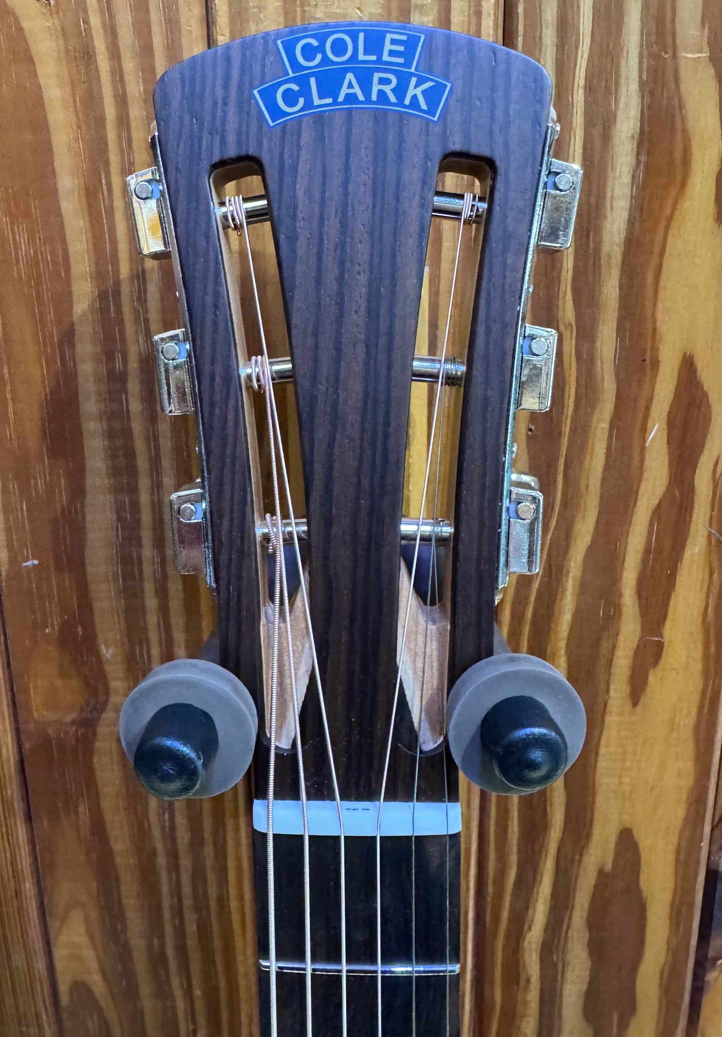 Cole Clark 'Studio Recording' Angel 2 AN2EC SRE Spruce/Rosewood