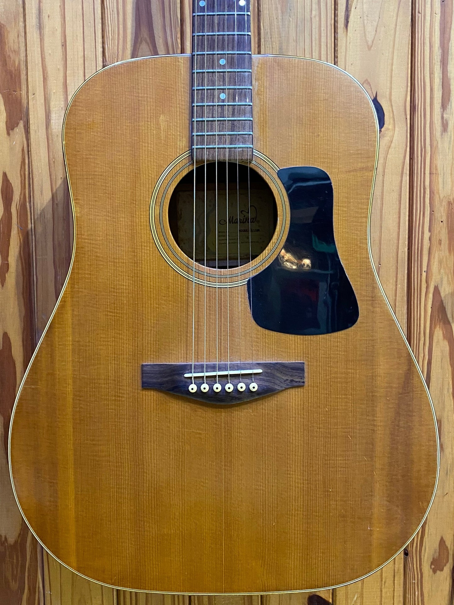 Marina Dreadnought Acoustic - Preloved