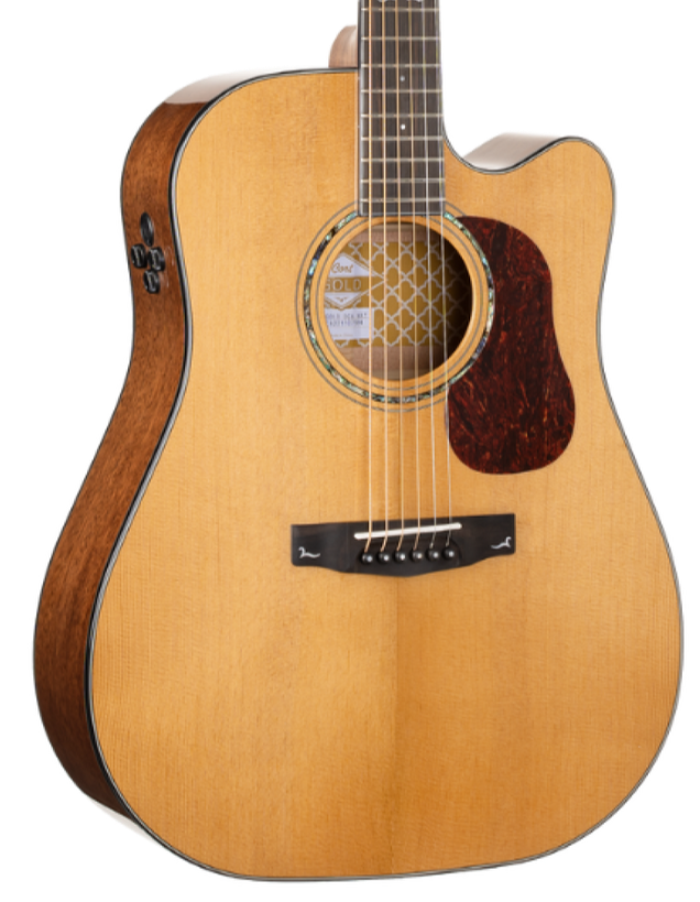 Cort Gold DC-6 Dreadnought Acoustic Guitar