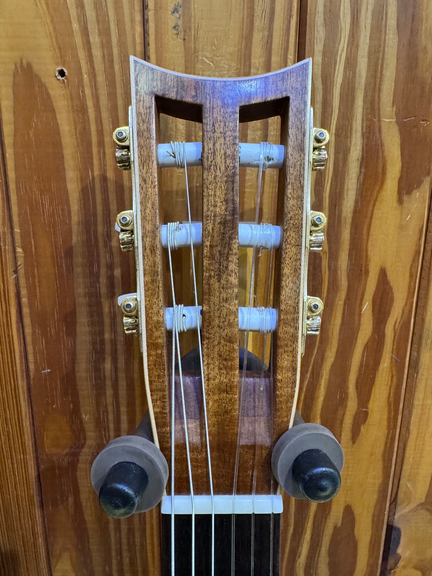 Burrows Hauser Classical Acoustic - Local Builder