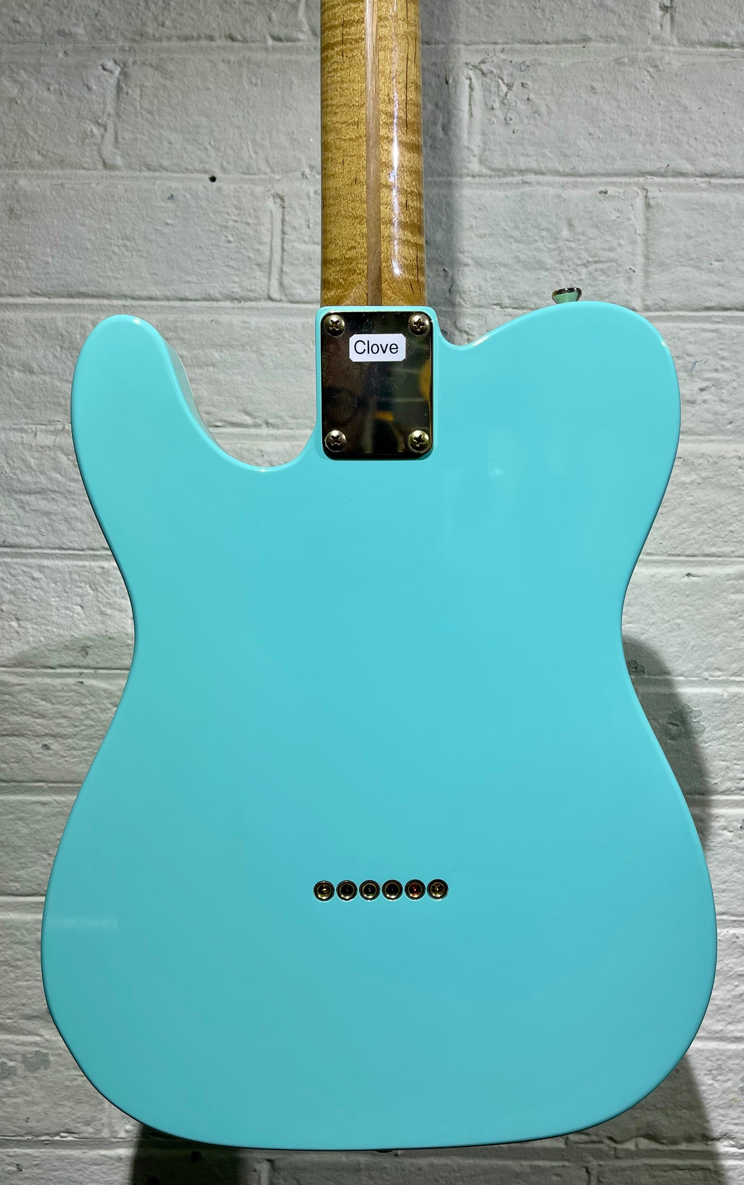 LSL Instruments T-Bone Seafoam Green - 'Clove'