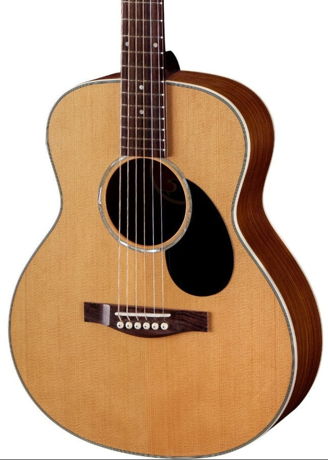 Eastman Acoustic Guitars