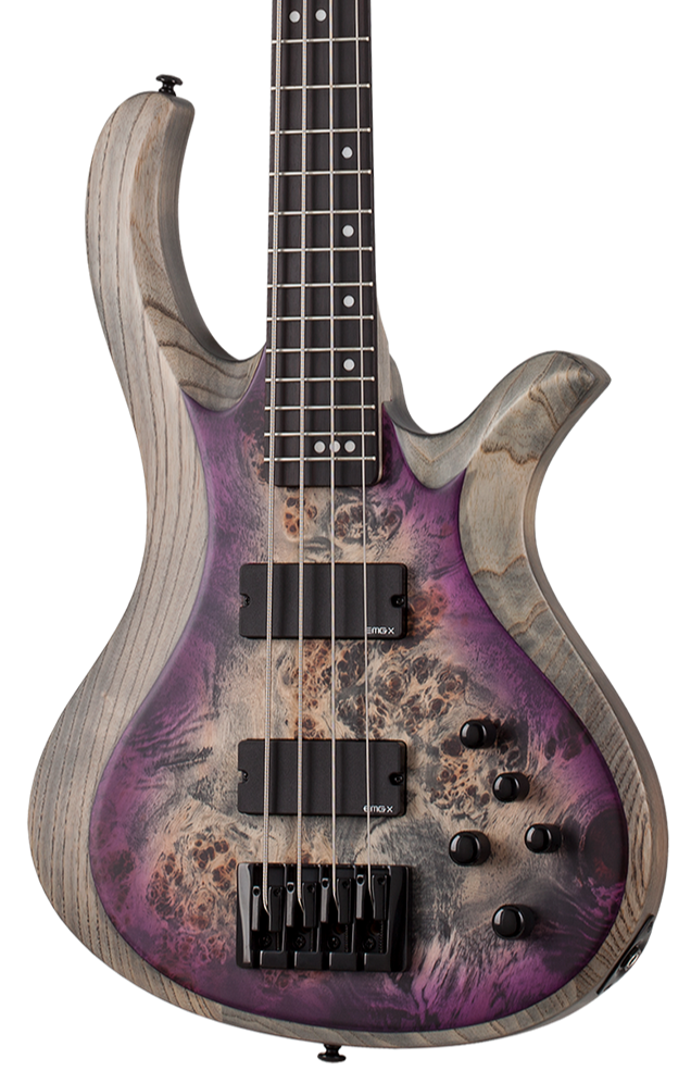 Schecter Bass Guitars