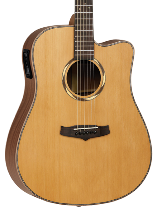 Tanglewood T20DCE 20th Anniversary Dreadnought Acoustic Guitar