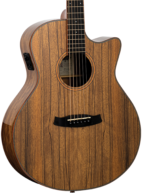 Tanglewood TW4EVCPW Winterleaf Exotic - Solid Spruce Top