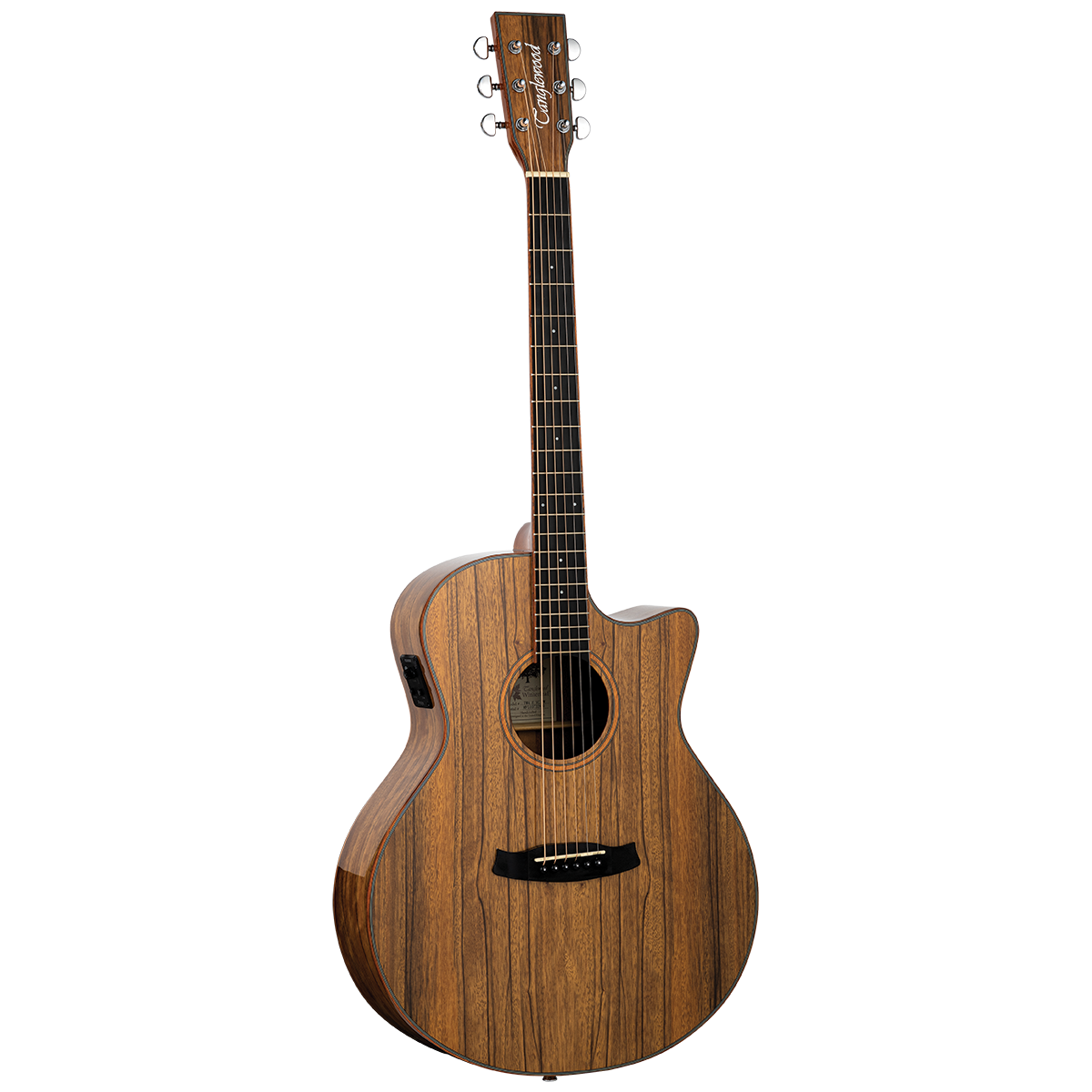 Tanglewood TW4EVCPW Winterleaf Exotic - Solid Spruce Top